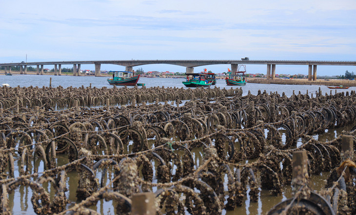 Cọc bêtông, lốp xe dày đặc trên sông Rác đoạn tiếp giáp với cầu Cửa Nhượng, huyện Cẩm Xuyên