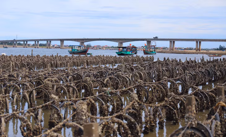 Cọc bêtông, lốp xe dày đặc trên sông Rác đoạn tiếp giáp với cầu Cửa Nhượng, huyện Cẩm Xuyên