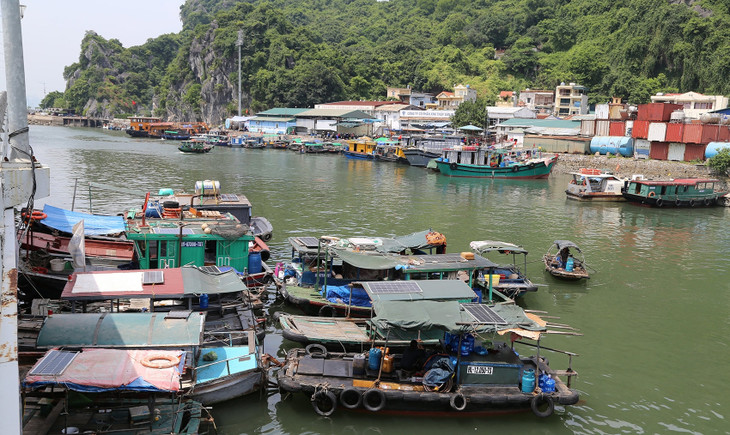 Từ 11h ngày 6/9, các phương tiện thủy ở Quảng Ninh tạm dừng ra khơi
