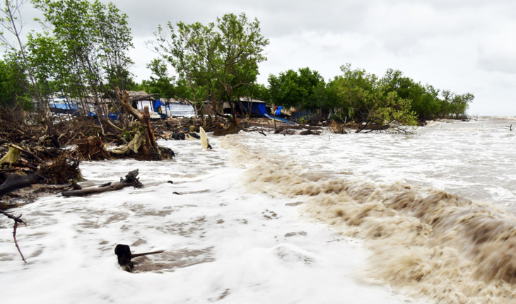Sạt lở bờ biển Đông đoạn Kênh 5 thuộc huyện Ngọc Hiển, tỉnh Cà Mau