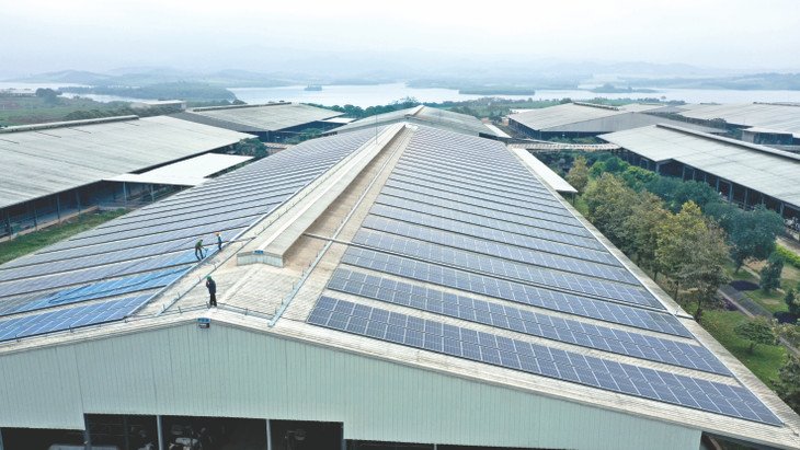 Pin mặt trời lắp trên mái các trang trại TH. Pin mặt trời lắp trên mái các trang trại TH.