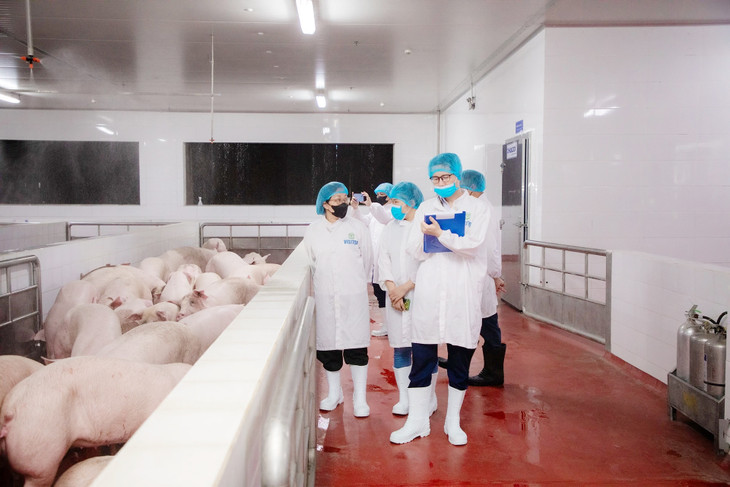 Đoàn kiểm tra tại khu vực nuôi nhốt