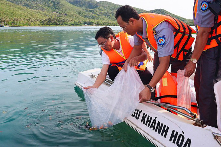 Chính quyền thả hơn 400.000 giống tôm, cá tại vịnh Nha Trang