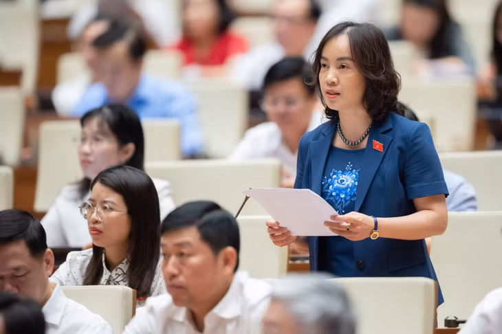 Tại phiên thảo luận đã có 19 đại biểu phát biểu, tập trung về các nội dung cụ thể như về phê chuẩn quyết toán ngân sách nhà nước năm 2021