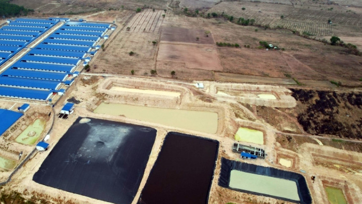 Bên trong dự án chăn nuôi heo vi phạm quy định môi trường Bên trong dự án chăn nuôi heo vi phạm quy định môi trường