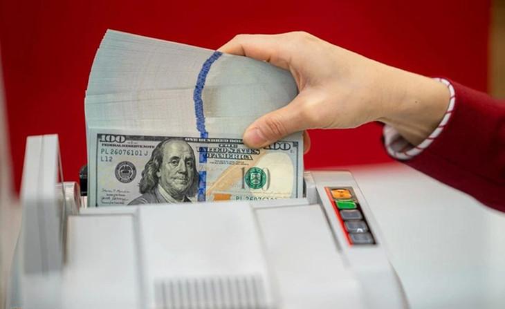 Từ đầu năm, Kho bạc Nhà nước đã có 2 đợt mua ngoại tệ với tổng khối lượng 250 triệu USD