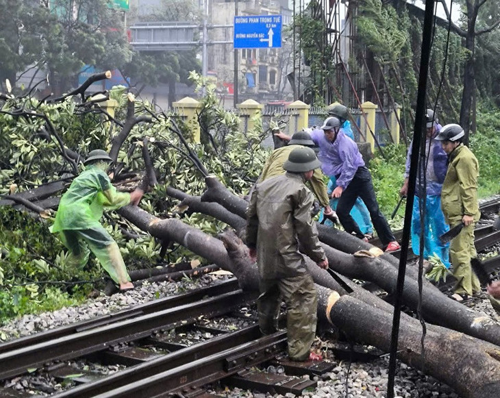 Cây đổ vào đường sắt Bắc - Nam đợt bão số 3