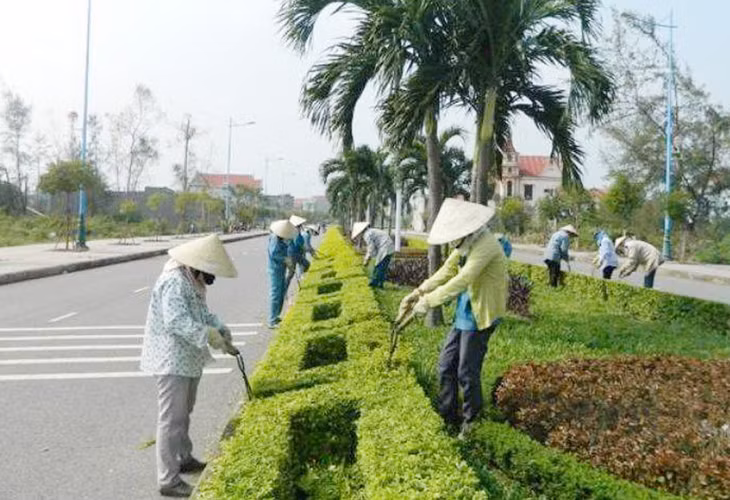 Nhiều yêu cầu “o ép” nhà thầu tại Gói thầu cây xanh tại huyện Tam Bình (Vĩnh Long). Ảnh chỉ mang tính minh họa. Nguồn Internet