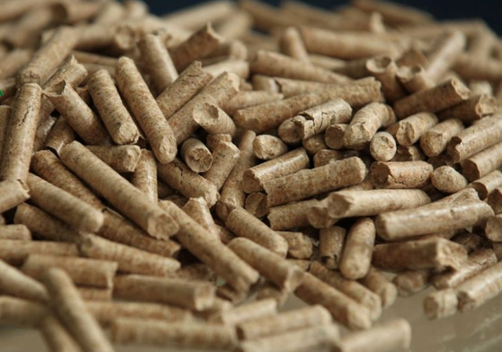 Xuất khẩu dăm gỗ và viên nén gỗ đạt gần 2 tỷ USD trong 7 tháng đầu năm. Ảnh minh họa