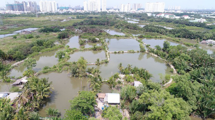 Dự án Khu dân cư Bắc Phước Kiển, huyện Nhà Bè, TP.HCM do Công ty Quốc Cường Gia Lai làm chủ đầu tư
