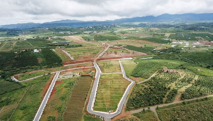 UBND tỉnh Lâm Đồng yêu cầu rà soát dự án phân lô bán nền tại TP Đà Lạt và Bảo Lộc