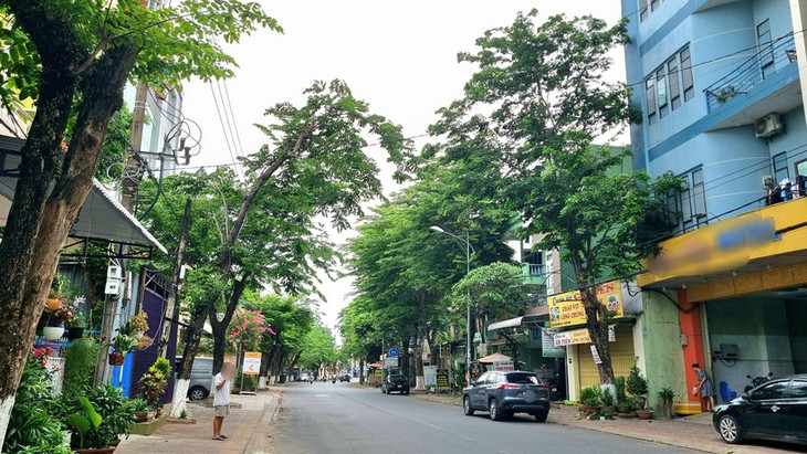 Phạm vi cung cấp thông tin, tài liệu là các dự án trồng, chăm sóc cây xanh đô thị từ năm 2019 đến hết năm 2023 tại Quảng Ngãi