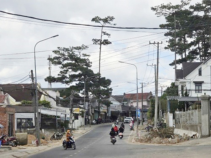 Dự án Xây dựng đường Cam Ly - Phước Thành có tổng mức đầu tư 400 tỷ đồng Dự án Xây dựng đường Cam Ly - Phước Thành có tổng mức đầu tư 400 tỷ đồng