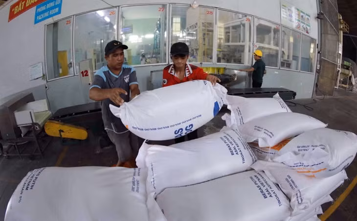 Sản phẩm gạo xuất khẩu tại một nhà máy