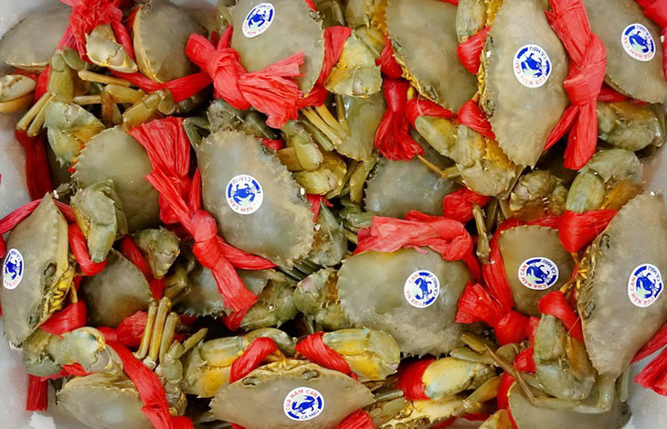 9 tháng đầu năm 2024, xuất khẩu cua ghẹ Việt Nam đạt gần 227 triệu USD