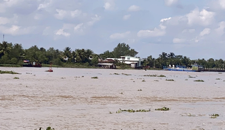 Cầu sẽ bắc qua nhánh sông Tiền kết nối xã Đông Hòa Hiệp với xã Tân Phong, huyện Cai Lậy, tỉnh Tiền Giang.