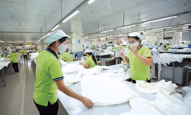 Ủy ban Kinh tế của Quốc hội cho rằng tăng trưởng kinh tế giai đoạn 2024 - 2025 có thể phục hồi tốt hơn so với năm 2023. Ảnh: Lê Tiên