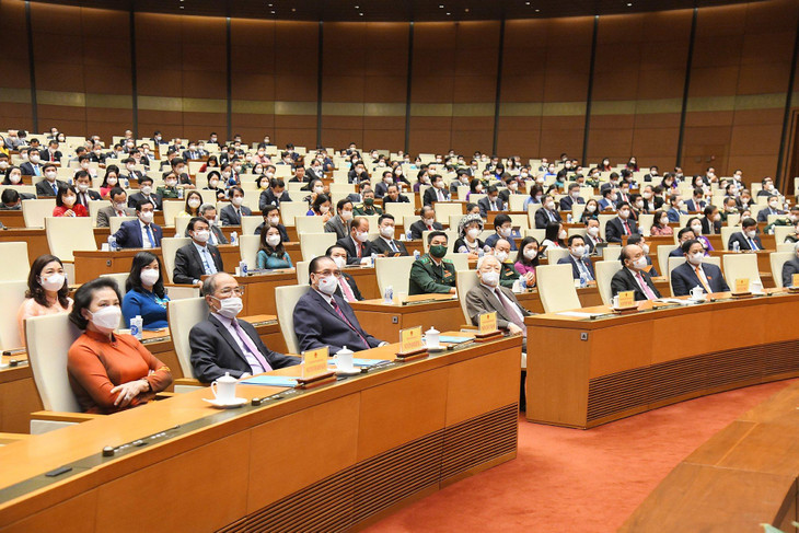 Các đại biểu Quốc hội