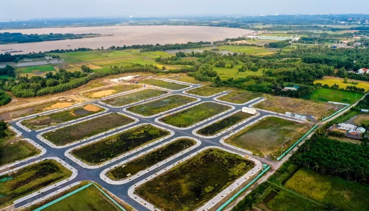 Tổ công tác đấu giá đất tại Đồng Nai do Phó chủ tịch UBND tỉnh Võ Văn Phi làm tổ trưởng.