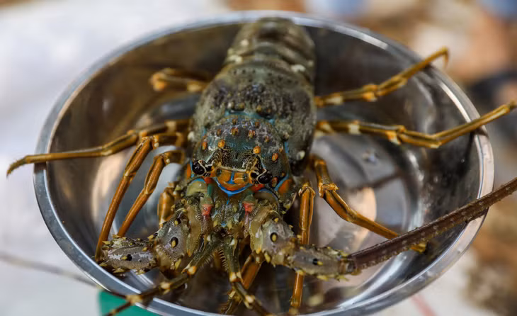 Tôm hùm bán trên đường Phan Văn Trị, quận Gò Vấp, TP.HCM