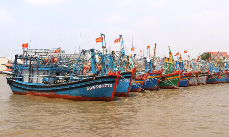 Tàu cá neo đậu ở thị trấn Sông Đốc, huyện Trần Văn Thời, Cà Mau