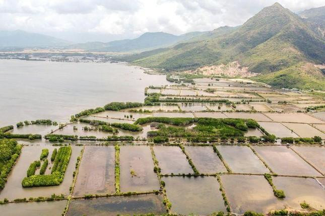 Nhiều khu vực đìa tôm, đìa cá của huyện Cam Lâm bị các sàn giao dịch bất động sản phân lô, bán nền tràn lan trên mạng. Ảnh T.L