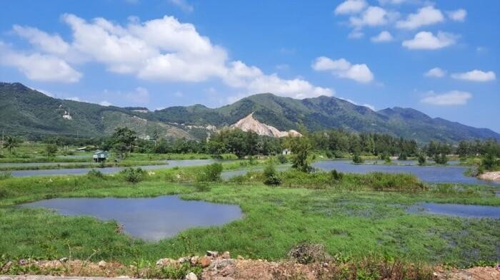 Sau "3 nhiệm kỳ" thực hiện, toàn vùng dự án vẫn chủ yếu là bãi đất hoang hóa. Sau "3 nhiệm kỳ" thực hiện, toàn vùng dự án vẫn chủ yếu là bãi đất hoang hóa.