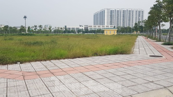 Quận Long Biên (Hà Nội) bán đấu giá quyền sử dụng đất gần 16.000m2 đất thực hiện Dự án Xây dựng nhà ở thấp tầng ô đất TT3 thuộc ô quy hoạch C14 (phường Phúc Đồng) với giá khởi điểm và giá trúng thấp chỉ trên 46 triệu đồng/m2. Trong khi thị trường và các khu đất dự án liền kề đang chào bán với giá từ 90 - 120 triệu đồng/m2 Quận Long Biên (Hà Nội) bán đấu giá quyền sử dụng đất gần 16.000m2 đất thực hiện Dự án Xây dựng nhà ở thấp tầng ô đất TT3 thuộc ô quy hoạch C14 (phường Phúc Đồng) với giá khởi điểm và giá trúng thấp chỉ trên 46 triệu đồng/m2. Trong khi thị trường và các khu đất dự án liền kề đang chào bán với giá từ 90 - 120 triệu đồng/m2