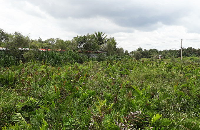 Một phần khu đất 158 ha thuộc dự án Khu nhà ở của Công ty CP Sài Gòn Gôn tại phường Long Trường, Quận 9 Một phần khu đất 158 ha thuộc dự án Khu nhà ở của Công ty CP Sài Gòn Gôn tại phường Long Trường, Quận 9
