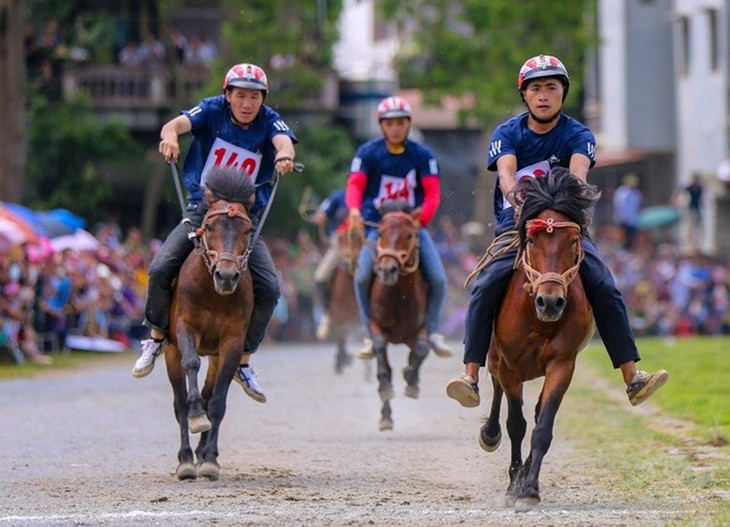 Dự án Trường đua ngựa, đua chó Thiên Mã - Madagui tại Lâm Đồng sẽ được kinh doanh đặt cược. Ảnh minh hoạ