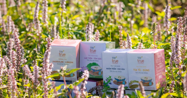 Bộ sản phẩm trà thảo dược túi lọc TH true HERBAL Bộ sản phẩm trà thảo dược túi lọc TH true HERBAL