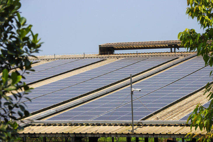 Riêng năm 2022, trang trại bò sữa ở Nghệ An đã sản xuất ra hơn 11 tỷ tiền điện từ năng lượng mặt trời. Riêng năm 2022, trang trại bò sữa ở Nghệ An đã sản xuất ra hơn 11 tỷ tiền điện từ năng lượng mặt trời.