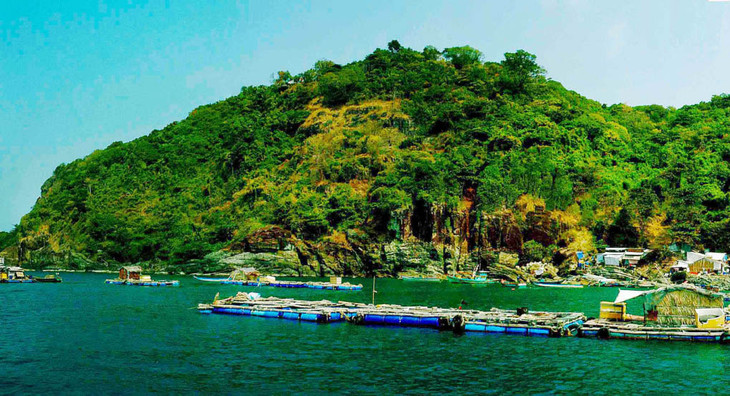 Nghề nuôi cá lồng bè ven đảo Hòn Chuối góp phần phát triển kinh tế, giảm thiểu đánh bắt tác động tiêu cực đến nguồn lợi hải sản