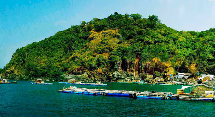 Nghề nuôi cá lồng bè ven đảo Hòn Chuối góp phần phát triển kinh tế, giảm thiểu đánh bắt tác động tiêu cực đến nguồn lợi hải sản