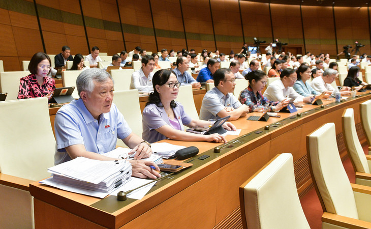 Các đại biểu biểu quyết bằng hình thức biểu quyết điện tử