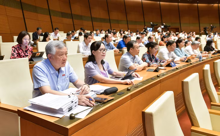 Các đại biểu biểu quyết bằng hình thức biểu quyết điện tử