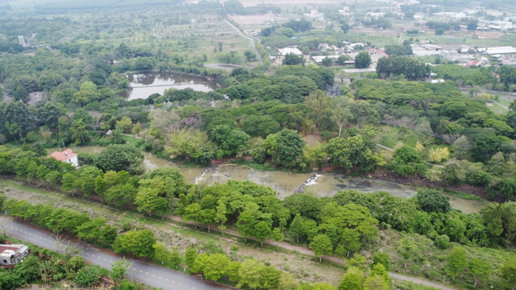 Một góc Dự án Khu dân cư Giang Điền, huyện Trảng Bom