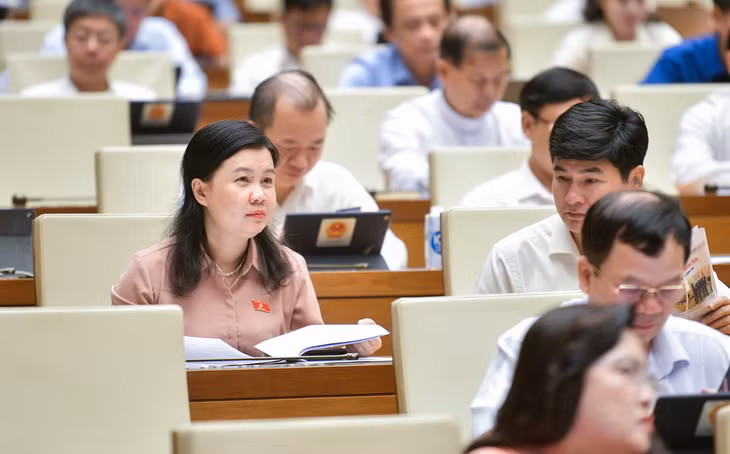 Các đại biểu tại Phiên họp