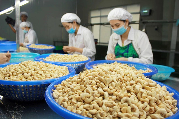 Lũy kế quý I, xuất khẩu hạt điều đạt 147.000 tấn, trị giá 782 triệu USD