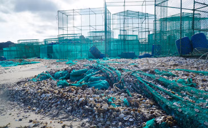Rác thải từ vệ sinh lồng nuôi tôm hùm ở bãi biển thôn Bình Lập, xã Cam Lập, TP. Cam Ranh