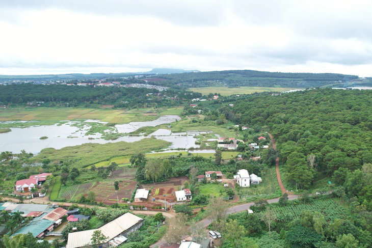 Tại Tiểu khu 389, giáp ranh giữa xã Diên Phú và phường Hội Thương có nhiều trường hợp lấn chiếm đất của Ban Quản lý rừng phòng hộ Bắc Biển Hồ Tại Tiểu khu 389, giáp ranh giữa xã Diên Phú và phường Hội Thương có nhiều trường hợp lấn chiếm đất của Ban Quản lý rừng phòng hộ Bắc Biển Hồ