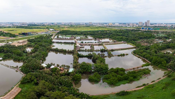 Trong khi đó, Khu liên hợp thể thao Rạch Chiếc được kỳ vọng là một dự án tầm cỡ của TP.HCM vẫn là những lô đất trống rộng lớn với cỏ xanh kín lối và xen lẫn nhà dân. Trong khi đó, Khu liên hợp thể thao Rạch Chiếc được kỳ vọng là một dự án tầm cỡ của TP.HCM vẫn là những lô đất trống rộng lớn với cỏ xanh kín lối và xen lẫn nhà dân.