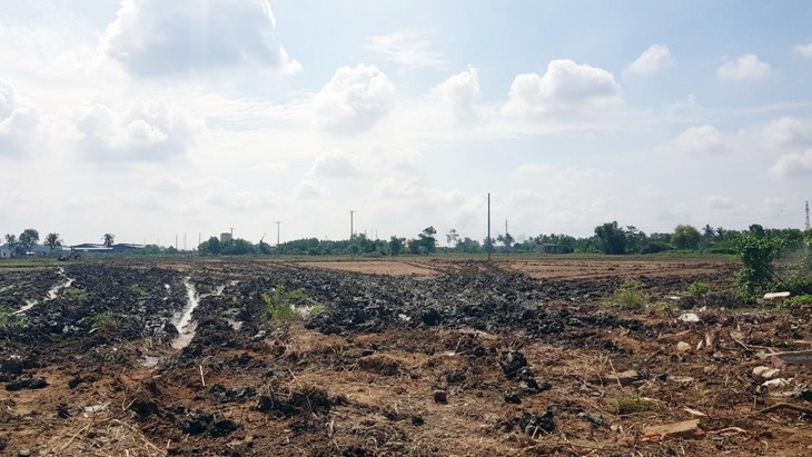 Trong số 65 dự án được Công ty CP Tập đoàn Vạn Thịnh Phát xúc tiến, trao đổi với tỉnh Long An, chỉ có 5 dự án đang hoạt động