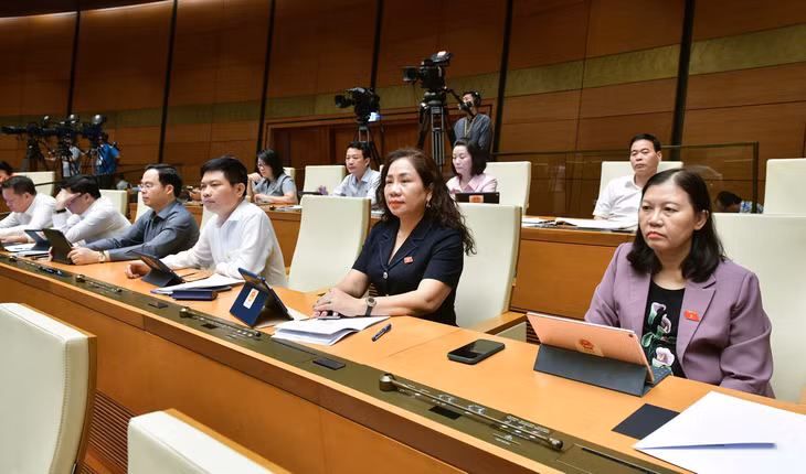 Tại phiên thảo luận, có 22 lượt đại biểu Quốc hội phát biểu ý kiến, 1 lượt đại biểu Quốc hội tranh luận