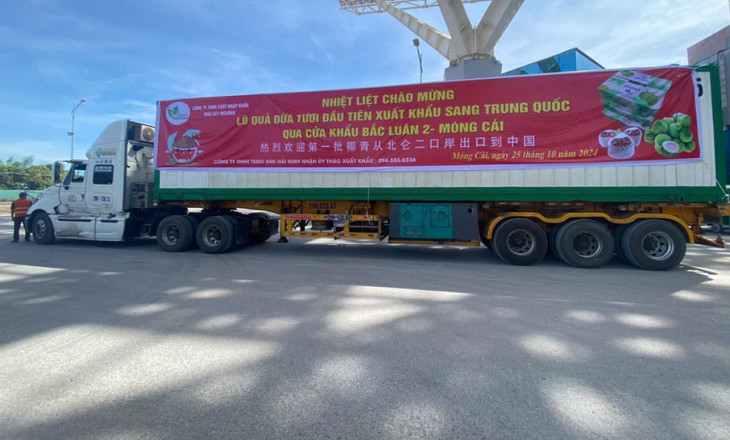 Lô hàng 23,5 tấn quả dừa tươi của một doanh nghiệp Việt Nam xuất khẩu sang thị trường Trung Quốc qua cửa khẩu cầu Bắc Luân 2