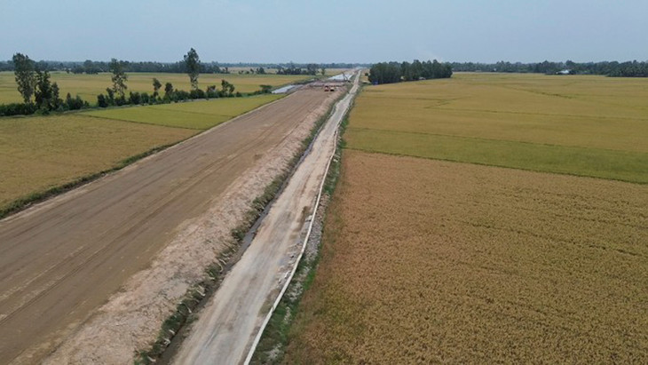 Đồng lúa của người dân xã Lương Nghĩa cạnh cao tốc Cần Thơ - Cà Mau bị chết Đồng lúa của người dân xã Lương Nghĩa cạnh cao tốc Cần Thơ - Cà Mau bị chết