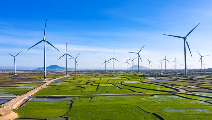 Nhà máy điện gió Trung Nam, một trong các dự án năng lượng tái tạo của Trung Nam Group