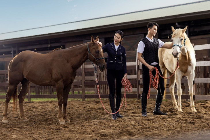 Sở hữu những chú ngựa thuần chủng đắt giá là cách giới thượng lưu thể hiện chất sống có gu cũng như vị thế trong cộng đồng