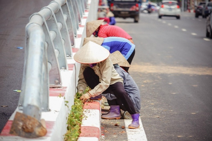 Việc trồng cây xanh, chỉnh trang không gian khu vực gầm cầu và chân cầu vượt cũng đang được thực hiện gấp rút