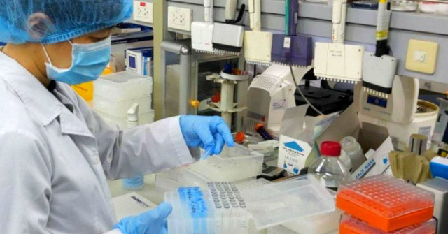 Sáng ngày 18/8, Bộ Y tế đã công bố thêm 7 ca mắc mới Covid-19, trong đó 6 ca cộng đồng